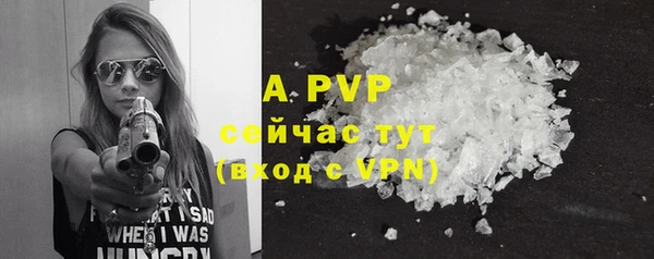 apvp Белокуриха