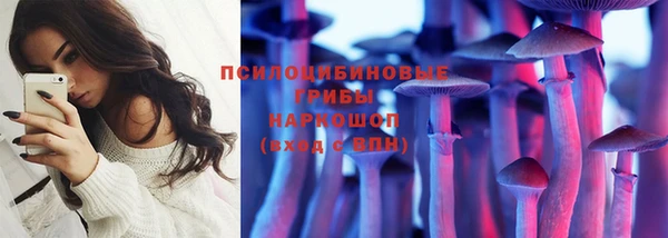PSILOCYBIN Беломорск