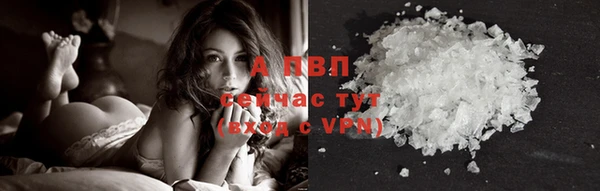 apvp Белокуриха