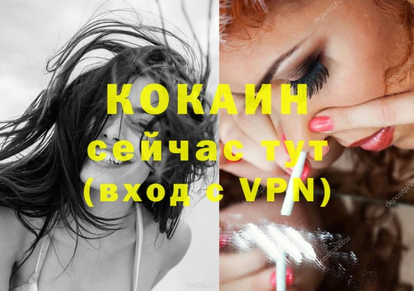 apvp Белокуриха
