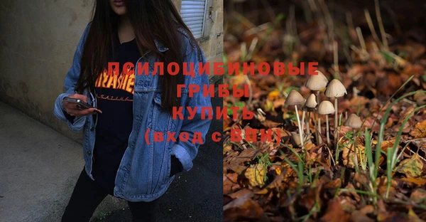 apvp Белокуриха