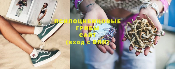 PSILOCYBIN Беломорск